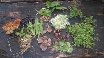 Ingredient ready for lunch 